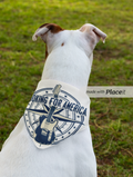 Pet Bandana